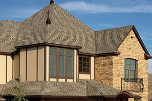 Asphalt Roof Repair